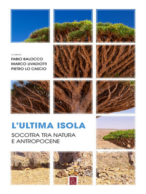 cover image of L'ultima isola